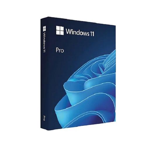 Microsoft Windows 11 Pro FPP OS price in hyderabad, telangana, nellore, vizag